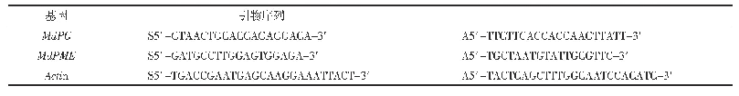 表3 用于QRT-PCR扩增细胞壁酶相关基因表达的引物