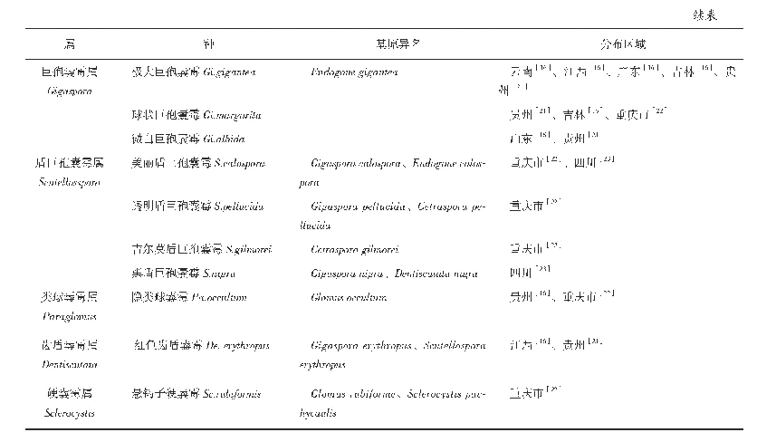 表1 烟草根系土壤中分离的AM真菌分布区域