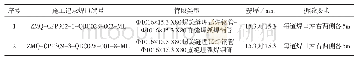 《表2 试验管段需求统计分表样表》