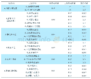 《表5 油气勘探项目指标权重表》