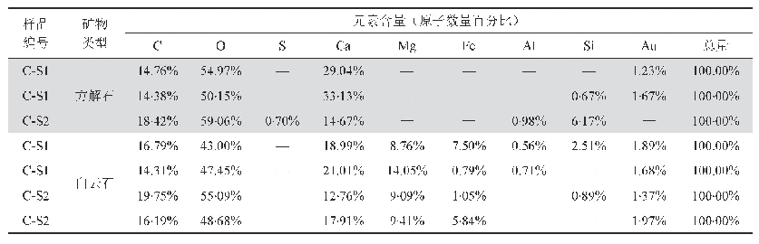 表1 页岩碳酸盐矿物化学组成的能谱测试结果表