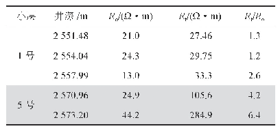 表5 W202井岩电实验测量电阻率与测井电阻率对比表