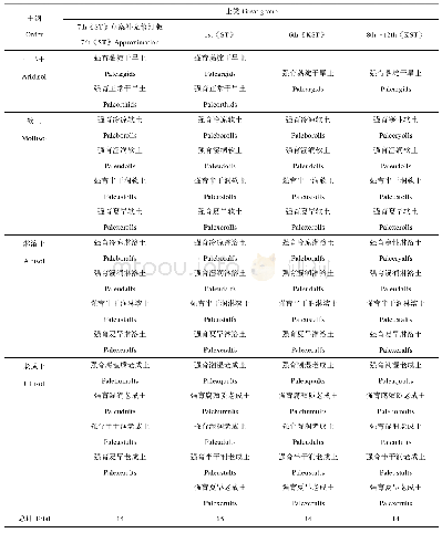 表1 各版美国土壤系统分类中的Pale-土类