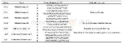 《表1 荧光定量PCR引物》