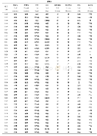 表1 引进的俄罗斯蓝靛果种质资源性状鉴定