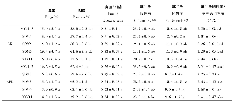 表2 不同有机质含量农田黑土土壤微生物相对丰度