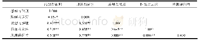 《表3 各分析层次间的相关系数矩阵》