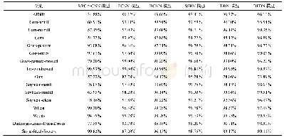 表6 在IP数据集下与其他分类模型的比较