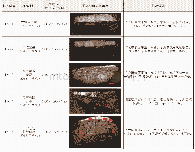 续表1 患者基本情况：陕西唐墓壁画地仗层制作工艺与保存状况的初步研究