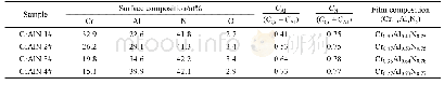 表2 Cr1–xAlxN薄膜的表面化学成分