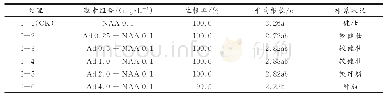 表6 外源激素Ad和NAA组合对甜叶菊试管苗生根的影响及显著性差异