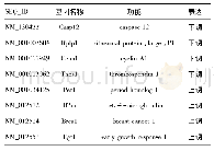 表1 与CAMP/Ca2+信号通路相关的部分差异表达基因