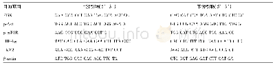 表1 各目的基因的PCR引物序列