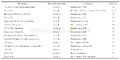 表1 不同TiO2/g-C3N4光催化剂的异质结类型和应用