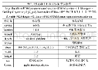 表3 单个地图图层URL