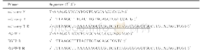 《表1 PCR引物设计Tab.1 Oligonucleotides used in the study》