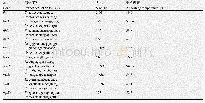 《表2 本研究中所用的引物》