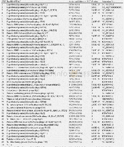 表2 噬菌体v B＿KpnP＿IME308的ORF功能预测