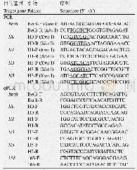 表2 各种转运蛋白基因的特异性引物