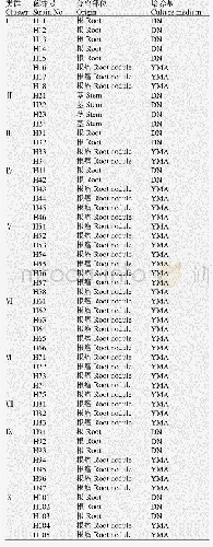 表1 泓森槐植株组织分离所得菌株统计表