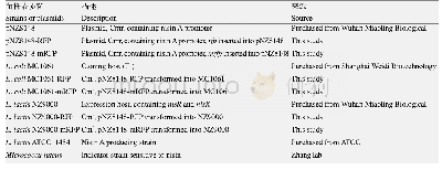 表1 本研究中使用的菌株和质粒