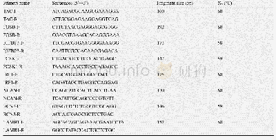 表2 荧光定量RT-PCR引物序列