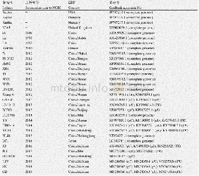 表2 NCBI中的PRV毒株信息