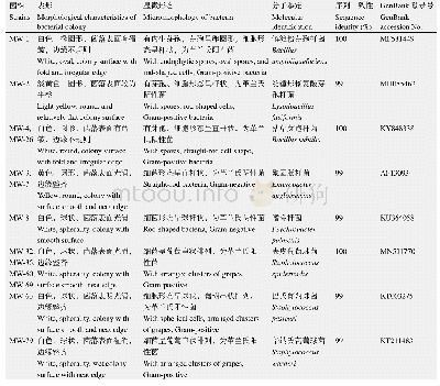 表2 产细菌素菌株的形态学与分子鉴定