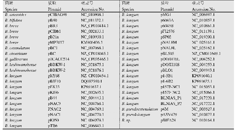 表1 Nucleotide和Ref Seq数据库收录的双歧杆菌属质粒基因组序列