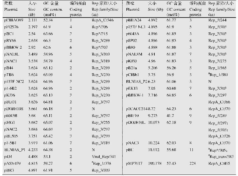 表2 双歧杆菌属质粒基因组和Rep蛋白基本特征