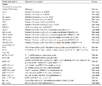 表1.菌株和质粒汇总表：铜绿假单胞菌cntRLMN操纵子介导锌离子摄取的功能鉴定