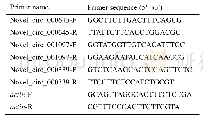 表1.本研究使用的引物：中华蜜蜂6日龄幼虫响应蜜蜂球囊菌胁迫的环状RNA应答