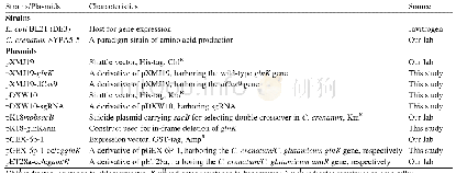 表1.本实验所用的菌株及质粒