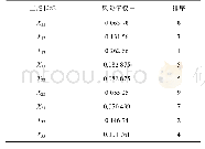 表2 二级指标权重及排序