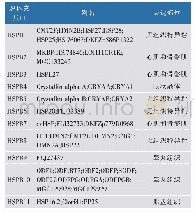 《表1 小分子热休克蛋白家族》