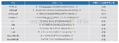 表4 本试验所用引物：一种XRE家族转录调节因子对干酪乳杆菌适应抗生素环境的影响