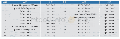 表6 PCR反应所用菌株及引物
