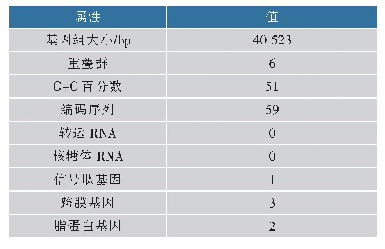 《表2 噬菌体ΦSHDA-1基因组框架图信息》