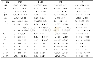 表5 D4尺度估计BEKK-GARCH模型估计结果