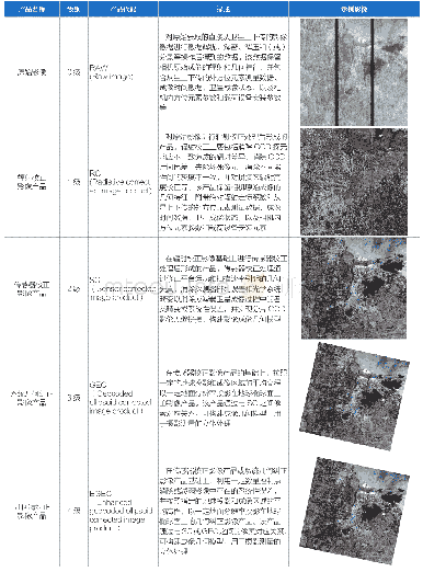 表1 资源三号卫星各级基础测绘遥感影像产品描述