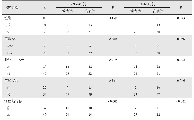 表2 CD68+巨噬细胞表达量及CD163+巨噬细胞表达量与PTC患者临床资料的相关性
