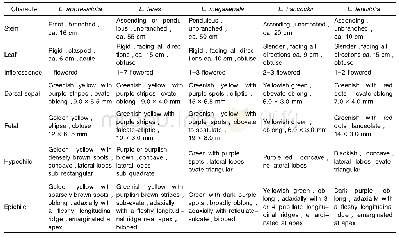 Table 1 Morphological characters of Luisia appressifolia and related species
