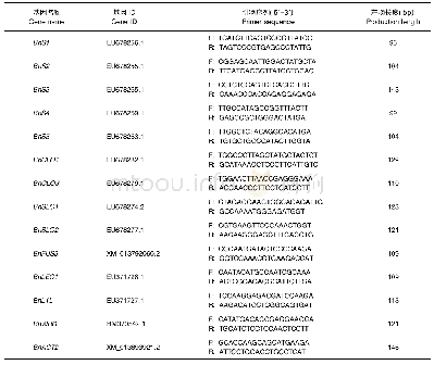 《表1 油体蛋白基因及脂肪酸合成转录因子表达水平检测的引物信息》