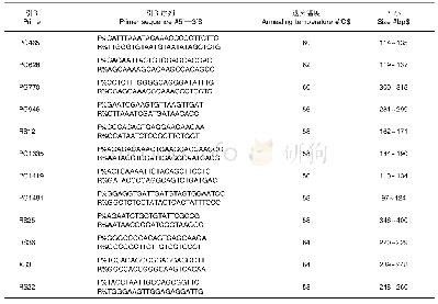 表3 用于姜状三七遗传多样性分析的12个微卫星引物及PCR信息