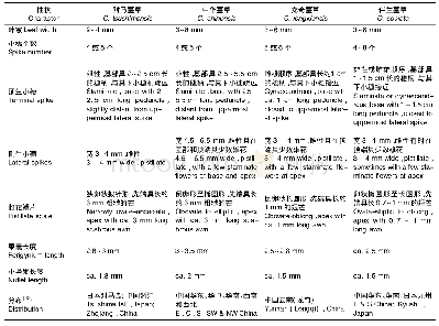 表1 对马薹草与其近缘种的区别特征