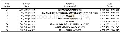 表3 精细定位区域内的基因信息