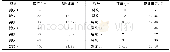 表2 深度不同宽度相同的模拟裂纹尺寸及其温升幅度（各裂纹宽度均为200μm)