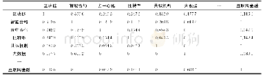 《表3 关键词部分相似矩阵》