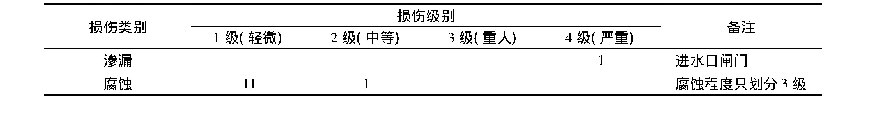 表1 输水涵管各级别损伤处数目汇总表