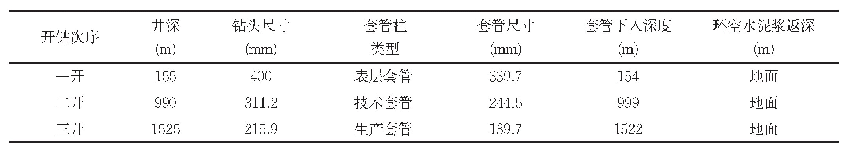 表1 N263-X206井井身结构